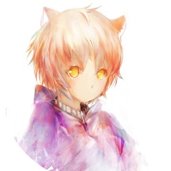 喵少年