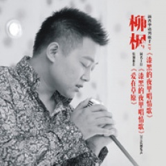 柳枫吉他谱