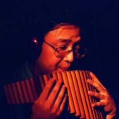 杜冲