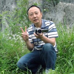 徐生龙