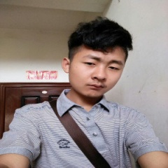 马豪