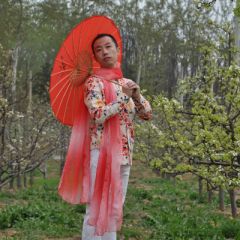 湘禅子吉他谱