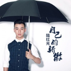 陆红光吉他谱