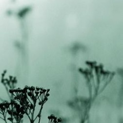 SOMBER POETRY FOR DYING THEE吉他谱