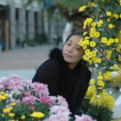 郑海鸥吉他谱