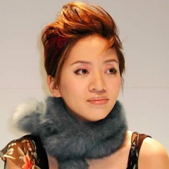 梅艳芳吉他谱