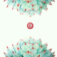 引月兮吉他谱