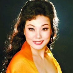 刘春美吉他谱