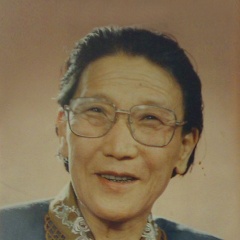 申凤梅吉他谱