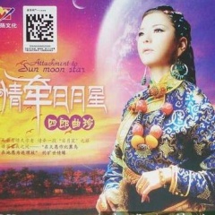 四郎曲珍吉他谱