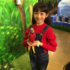 戎妍