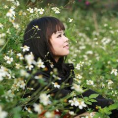 春燕子