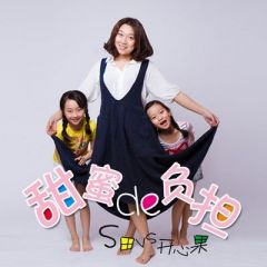 S田吉他谱