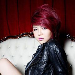 陈亦菲吉他谱
