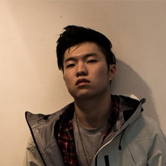 Young Lion