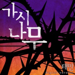 태민吉他谱