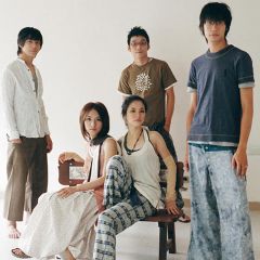 这位太太吉他谱