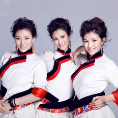 雪莲三姐妹吉他谱