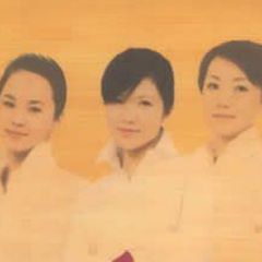 紫丁香