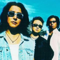 山鹰组合吉他谱