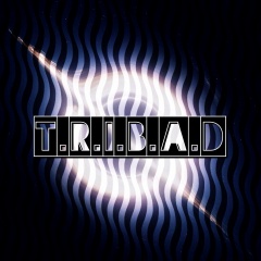 T.R.I.B.A.D吉他谱