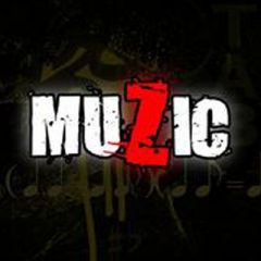 Z-MUSIC吉他谱