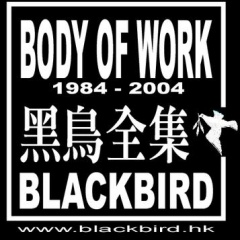 黑鸟吉他谱