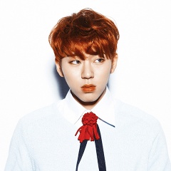Zico