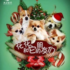 花花和它的朋友们吉他谱