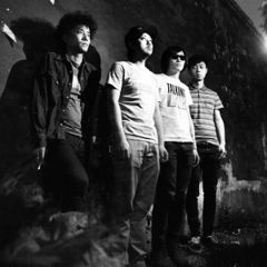 The Fuzz