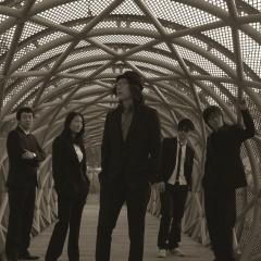 <b>Marigold</b>吉他谱