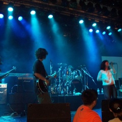Siberian Husky吉他谱