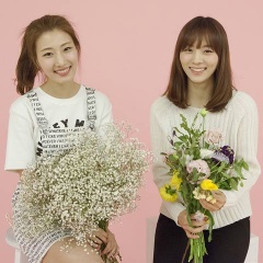 Fresh Girls吉他谱