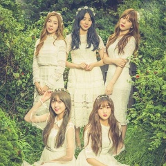 I.B.I