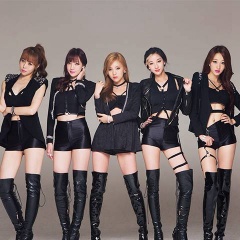 D.HOLIC