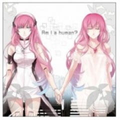 ミツバチP