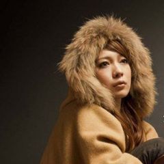 曽根由希江吉他谱