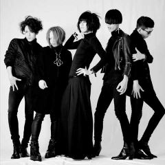 PLASTICZOOMS吉他谱