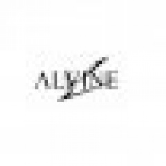 ALVINE吉他谱
