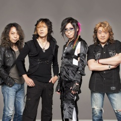 Rider Chips吉他谱