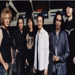 HOUND DOG吉他谱