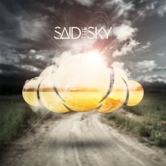 Said The Sky吉他谱