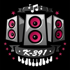 K-391