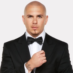 Pitbull