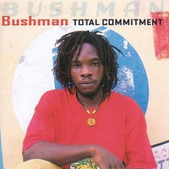 Bushman吉他谱