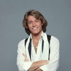 <b>Andy Gibb</b>吉他谱