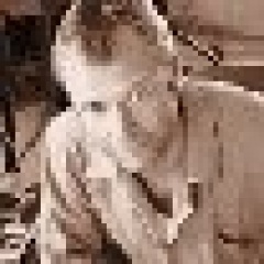 <b>Kamal</b>吉他谱