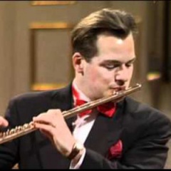 Haydn Ensemble Berlin吉他谱