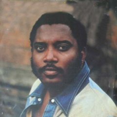 Jimmy Bo Horne吉他谱