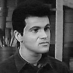 Tommy Sands吉他谱